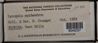 Image Associated With the Occurence